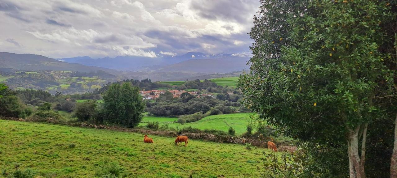فندق Casa Del Cura Molleda المظهر الخارجي الصورة